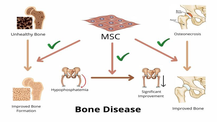 Biomedical Science &, Research Biomedical Science &, Research