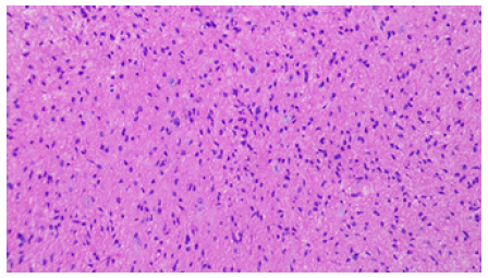Biomedical Science &, Research Biomedical Science &, Research
