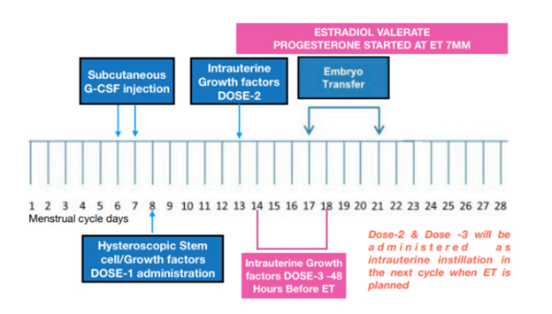 Biomedical Science &, Research Biomedical Science &, Research