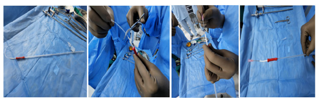 Biomedical Science &, Research Biomedical Science &, Research