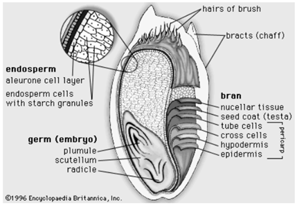 Biomedical Science &, Research Biomedical Science &, Research