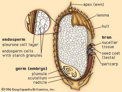 Biomedical Science &, Research Biomedical Science &, Research