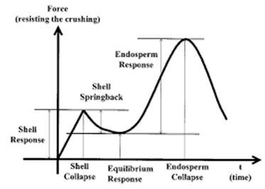 Biomedical Science &, Research Biomedical Science &, Research