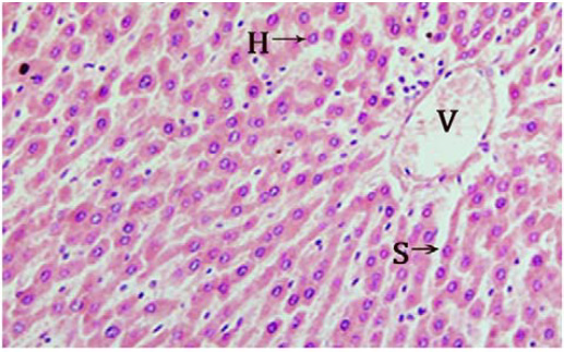 Biomedical Science &, Research Biomedical Science &, Research