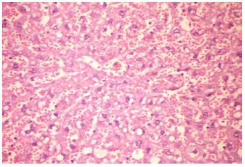 Biomedical Science &, Research Biomedical Science &, Research