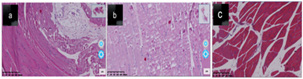 Biomedical Science &, Research Biomedical Science &, Research