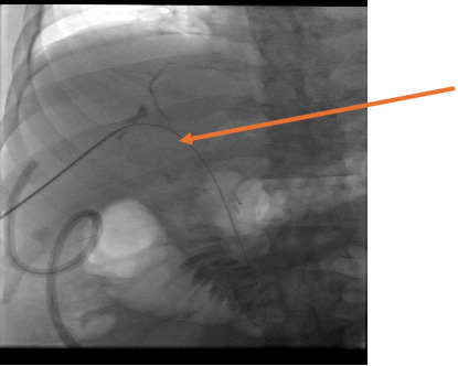 Biomedical Science &, Research Biomedical Science &, Research