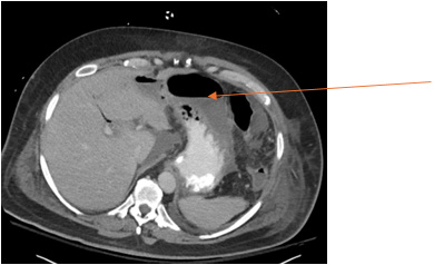 Biomedical Science &, Research Biomedical Science &, Research