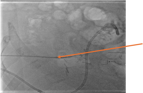 Biomedical Science &, Research Biomedical Science &, Research