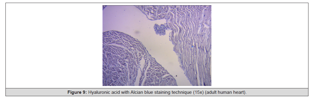 Biomedical Science &, Research Biomedical Science &, Research