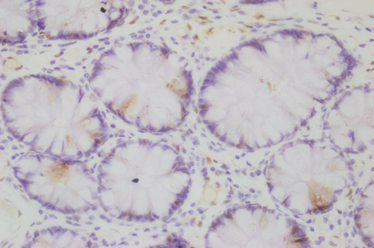 Biomedical Science &, Research Biomedical Science &, Research