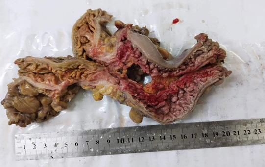 Biomedical Science &, Research Biomedical Science &, Research