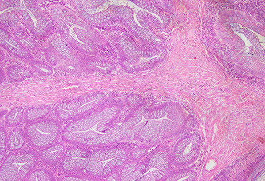 Biomedical Science &, Research Biomedical Science &, Research