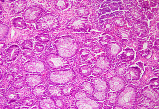 Biomedical Science &, Research Biomedical Science &, Research