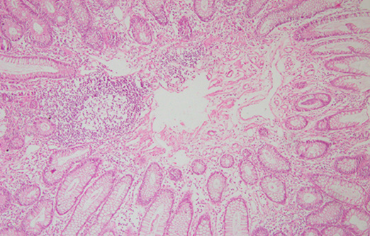 Biomedical Science &, Research Biomedical Science &, Research