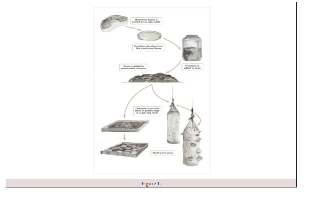 Biomedical Science &, Research Biomedical Science &, Research