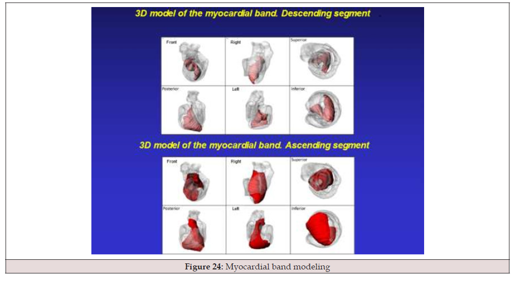 Biomedical Science &, Research Biomedical Science &, Research